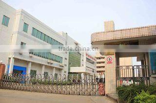 Guangdong Yuetian Technology Industrial Co., Ltd. company overview - view 1