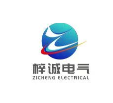 Shanghai Zicheng Electric Technology Co., Ltd.