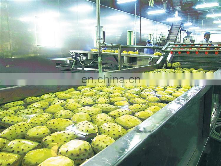 Commercial industry fruit juice making machine / natural juice production line / lemon juice processing plant