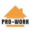 YUEQING PRO-WORK TOOLS CO.,LTD