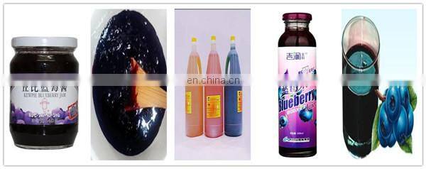 Fruit Jam Production Line From China