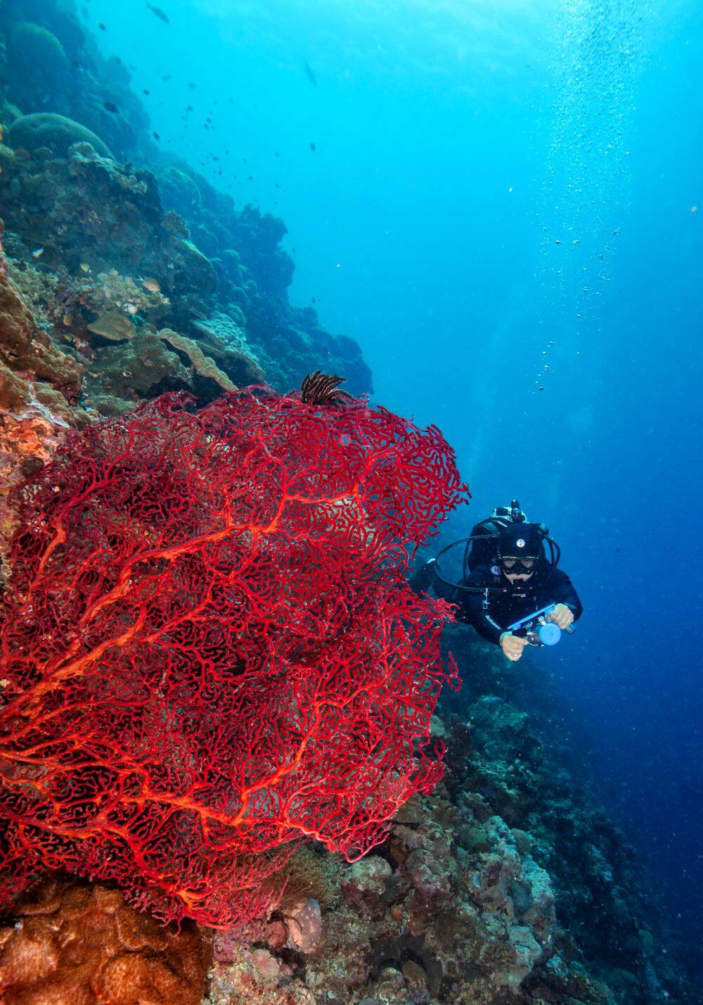 1bff8ea0470b14a7383220fdcd47ea0