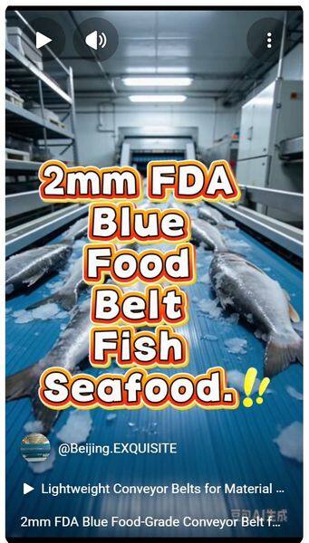2mm FDA Blue Food-Grade Conveyor Belt for Fish and Seafood