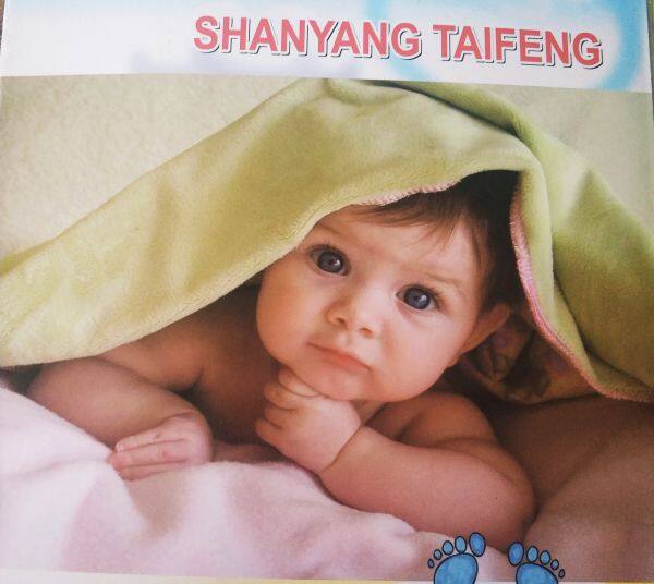 Changyi Shanyang Taifeng Trading Co., Ltd company overview - view 1