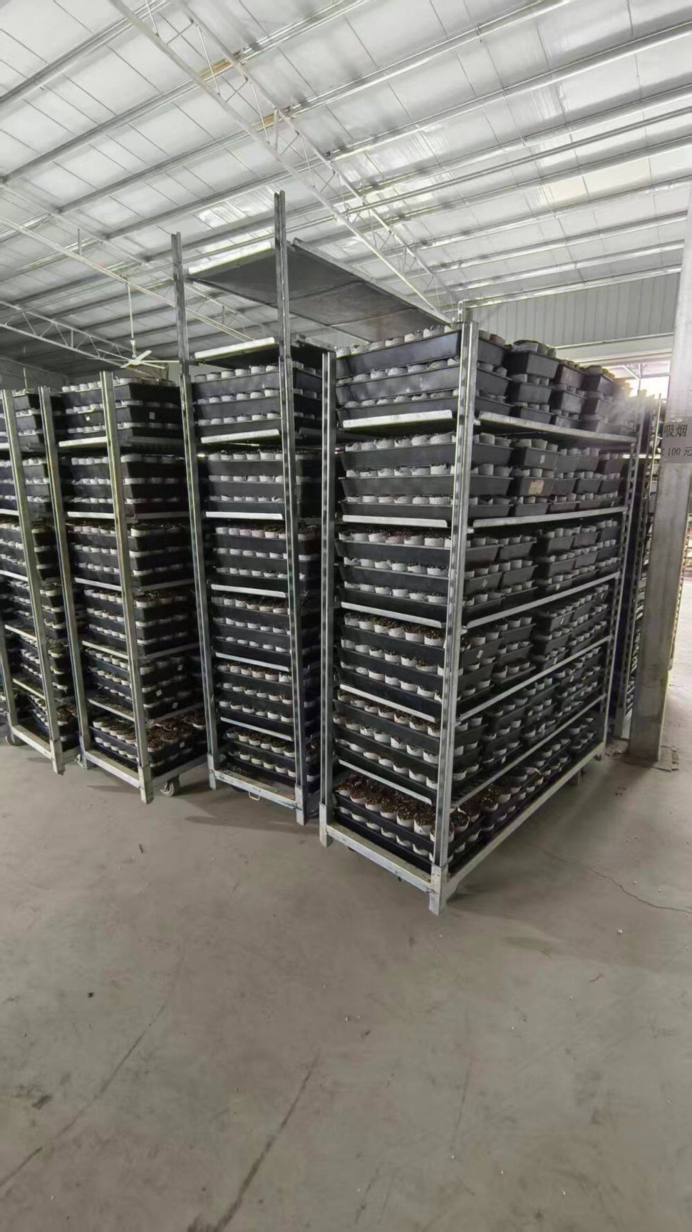 微信图片_20260428090850_449_9