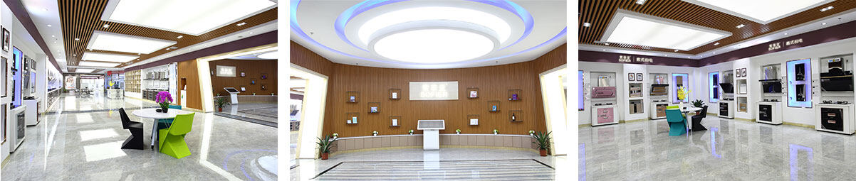 Foshan Siwei Technology Co., Ltd. company overview - view 1