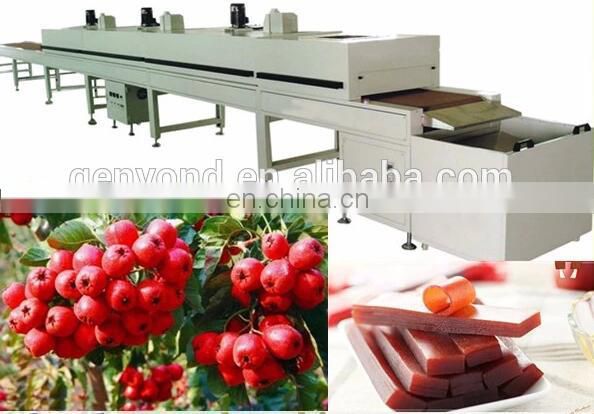 Fresh hawthorn berry cutting machine fruit leather machine