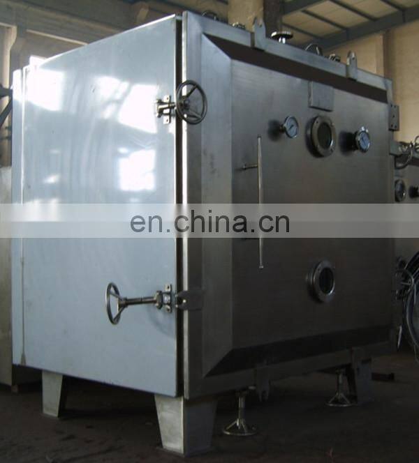 fruit and vegetable vacuum chips processing line