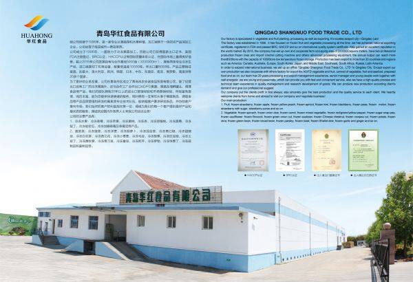 Qingdao Huahong Food Co., Ltd company overview - view 1