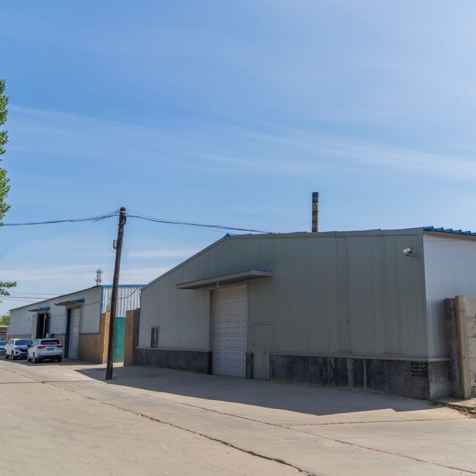 Wuqiang Xinlong Technology Co., Ltd. company overview - view 1