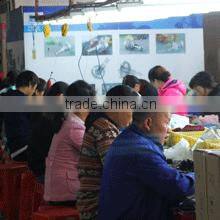 Foshan ELT Lighting Electronics Co., Ltd. company overview - view 3