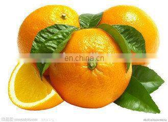 Fruit washing machine/strawberry cleaning /blueberry cleaning machine