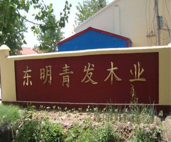 Dongming Qingfa Wood Industry Co.,Ltd company overview - view 1