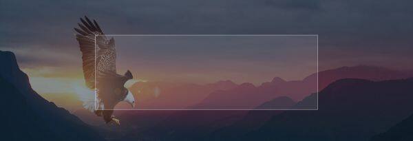 China Redstar Limited company overview - view 1