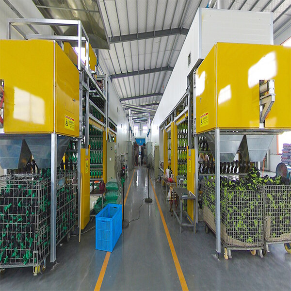 Qingdao Fillsense Technology Co.,Ltd company overview - view 2