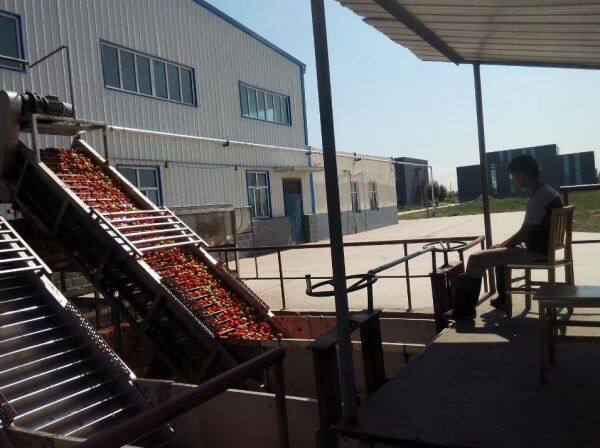 Tianjin Dunhe International Trade Co.,ltd company overview - view 3