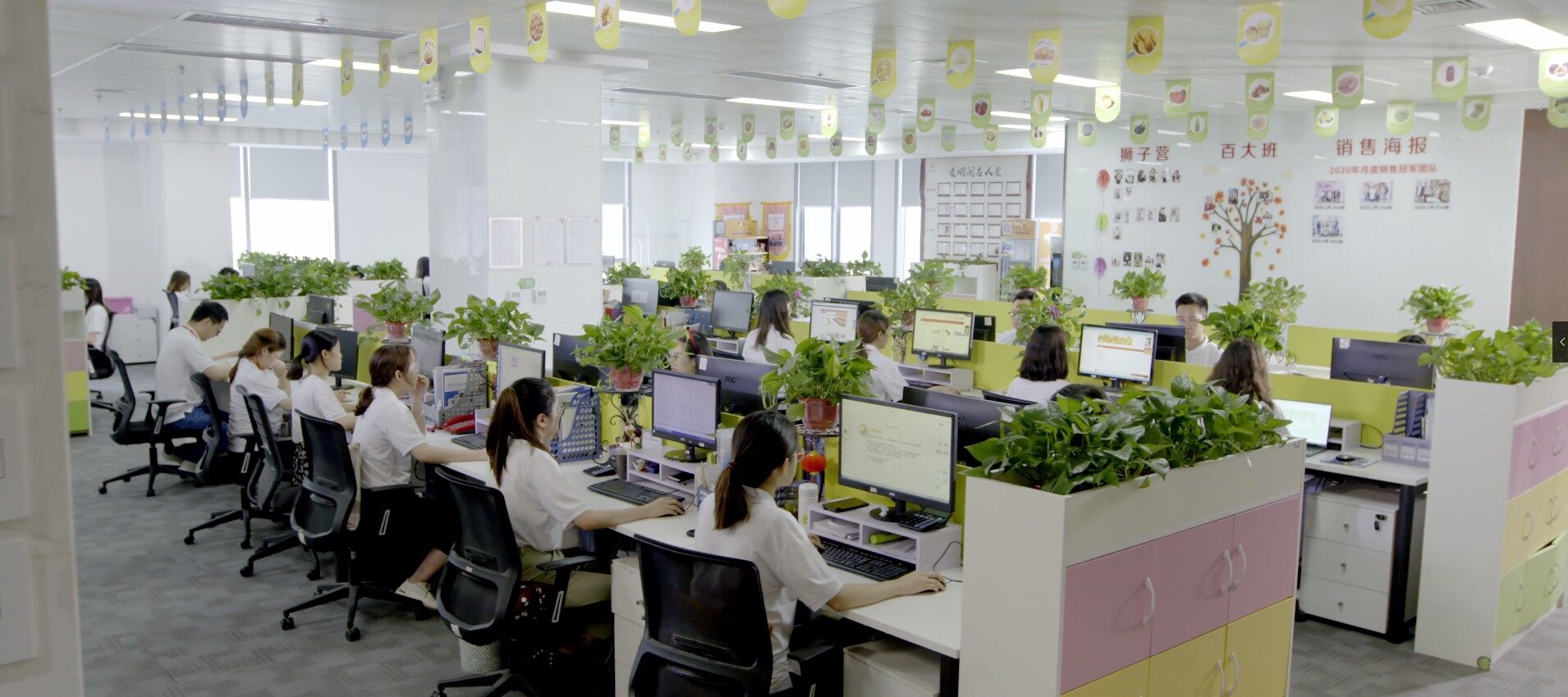 Longer company overview - view 3