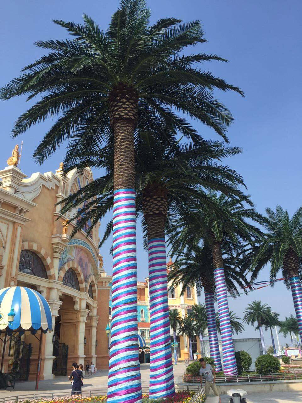 King Coconut Tree (1)