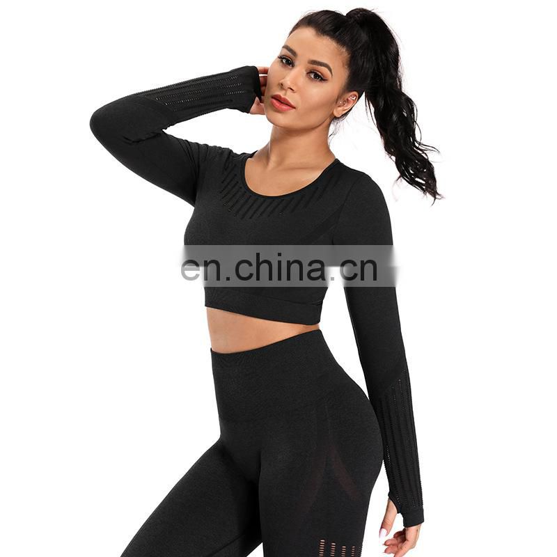 2 piece gym set women seamless long sleeve crop and leggings yoga gym wear set
