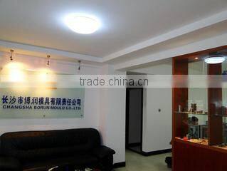 Changsha Borun Mould Co., Ltd. company overview - view 1