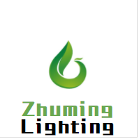 SHENZHEN ZHUMING LIGHTING TECHNOLOGY CO.,LTD