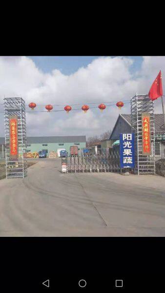 Qingdao Sunny Farm Fruits & Vegetables CO.,LTD company overview - view 1