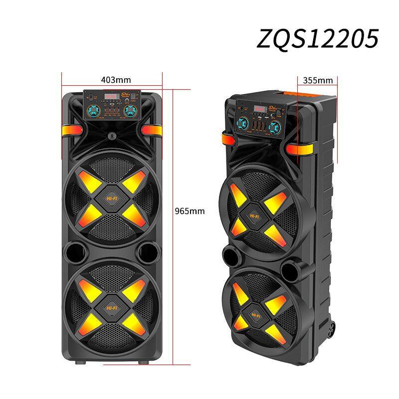 ZQS12205 super power 80W 12-inch*2 OEM cost-effective big party speaker with colorful lights