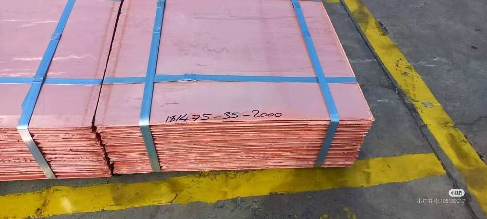 微信图片_20250730122351_19