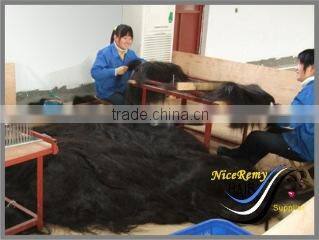 NiceRemyHair International (Qingdao) Co., Ltd. company overview - view 2