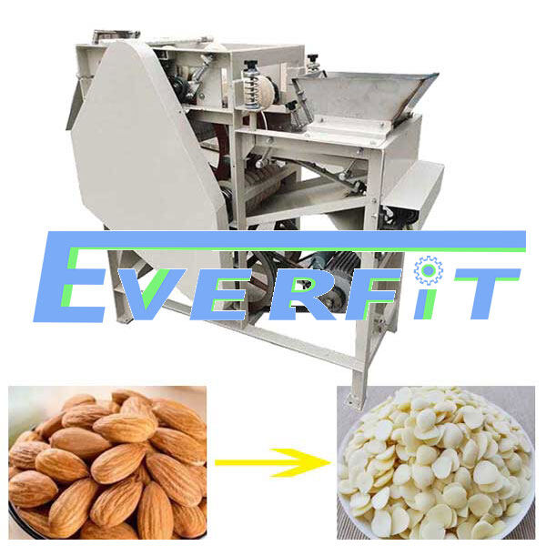 Almond Peeler Machine Price