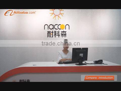Naccon Power Technology Co., Ltd. company overview - view 1