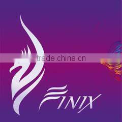 Finix Industrial Co., Ltd. company overview - view 1