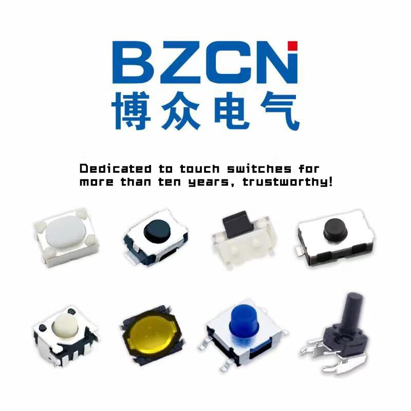 ZHEJIANG BOZHONG ELECTRIC CO.,LTD