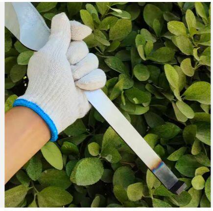 微信截图_20250623090512