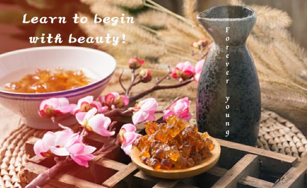 Forever Young company overview - view 1