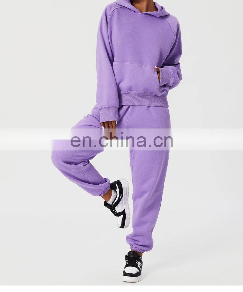 Fall Custom Long Sleeve Casual Warm Fleece Sweatshirt Hoodies Loose Pockets Pullover Tops