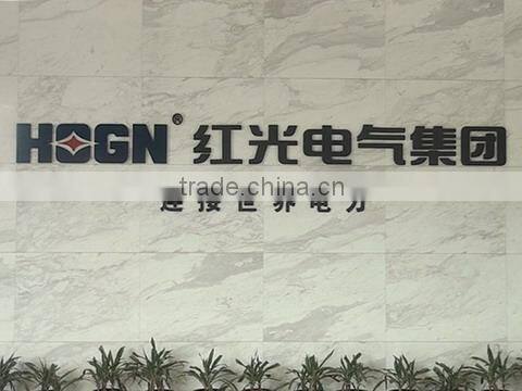 Hongguang Electrical Group Co., Ltd. company overview - view 1