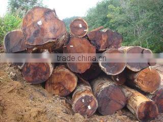 Imaskayu Door Export (m) Sdn. Bhd. company overview - view 3