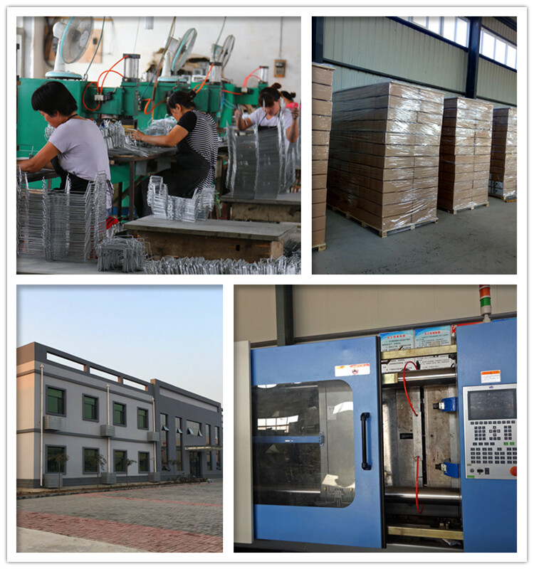 Crown Wealth Trading CO.,Ltd. company overview - view 2