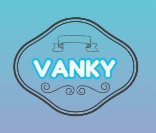 Vanky International Limited company overview - view 1