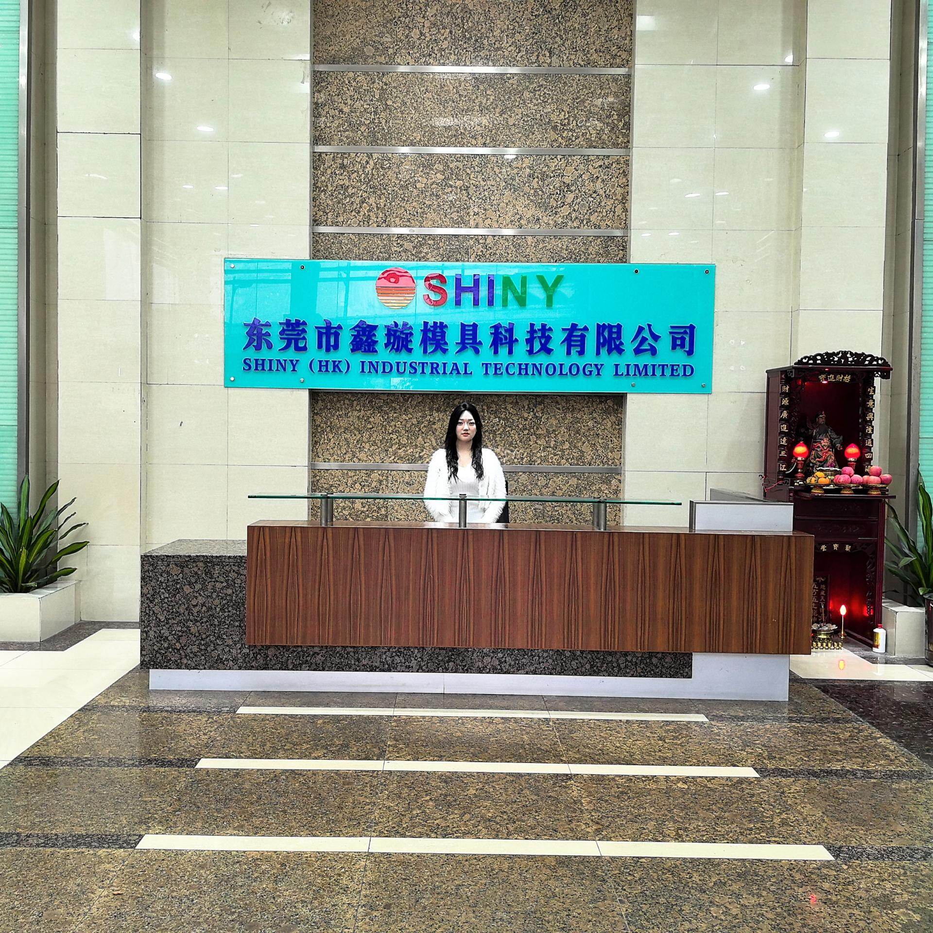 Dongguan Xinxuan Mold Technology Co., Ltd. company overview - view 1