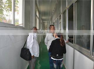 Shandong Wheatsun Food Co., Ltd. company overview - view 2