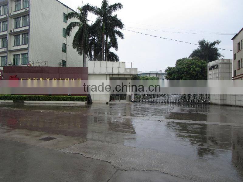 Guangdong Apples Industrial Co., Ltd. company overview - view 2