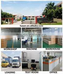 Guangzhou Hasen Non-Woven Cloth Industry Co., Ltd. company overview - view 1
