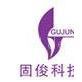 Shanghai Gujun Technical Developing Co.,Ltd