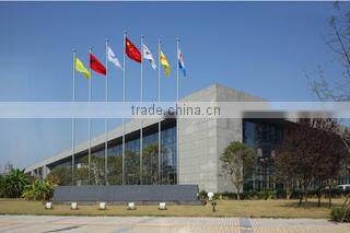 Chongqing Golden Cloud E-Commerce Co., Ltd. company overview - view 1