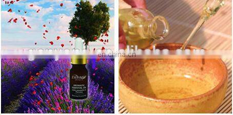 Essential Oil Supplier / Manufacturer /Exporter of Coriander Oil extraction machine