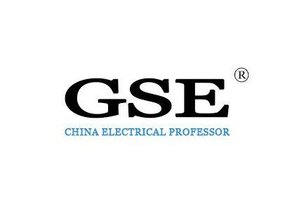 Shandong Genshen Electric Co., Ltd company overview - view 1
