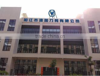 Yangjiang Yoga Daojian Co., Ltd. company overview - view 1