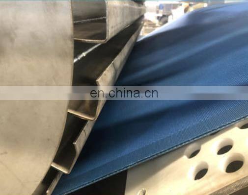 Industrial Canned Fruit Papaya Pineapple Processing Machine Papaya Juice Production Line